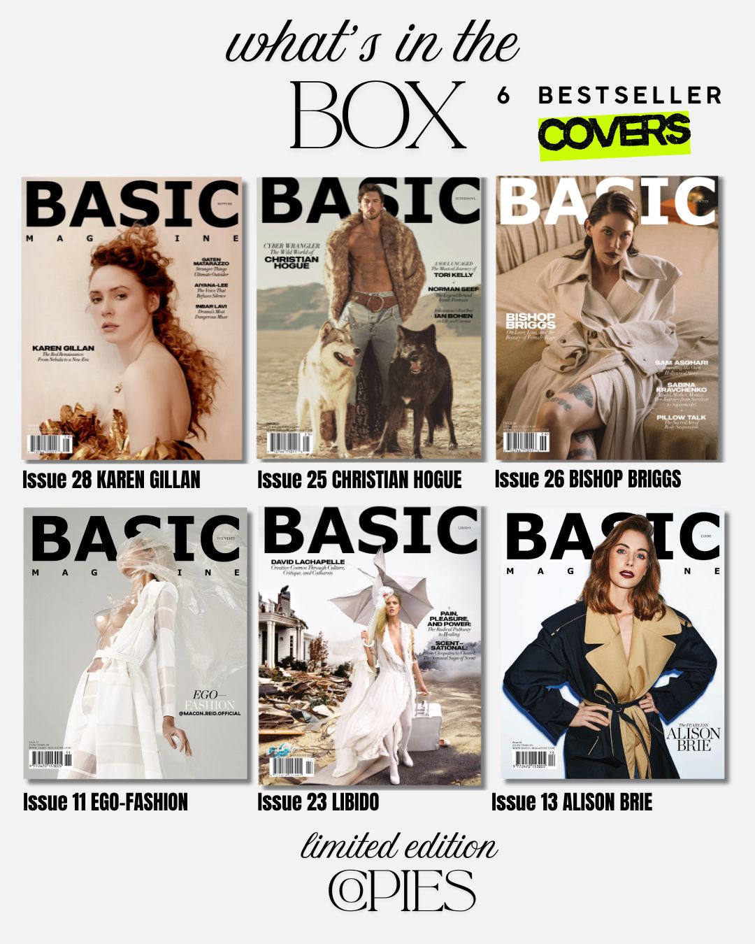 BASIC Bestseller Collection — 6 Most-Loved Covers