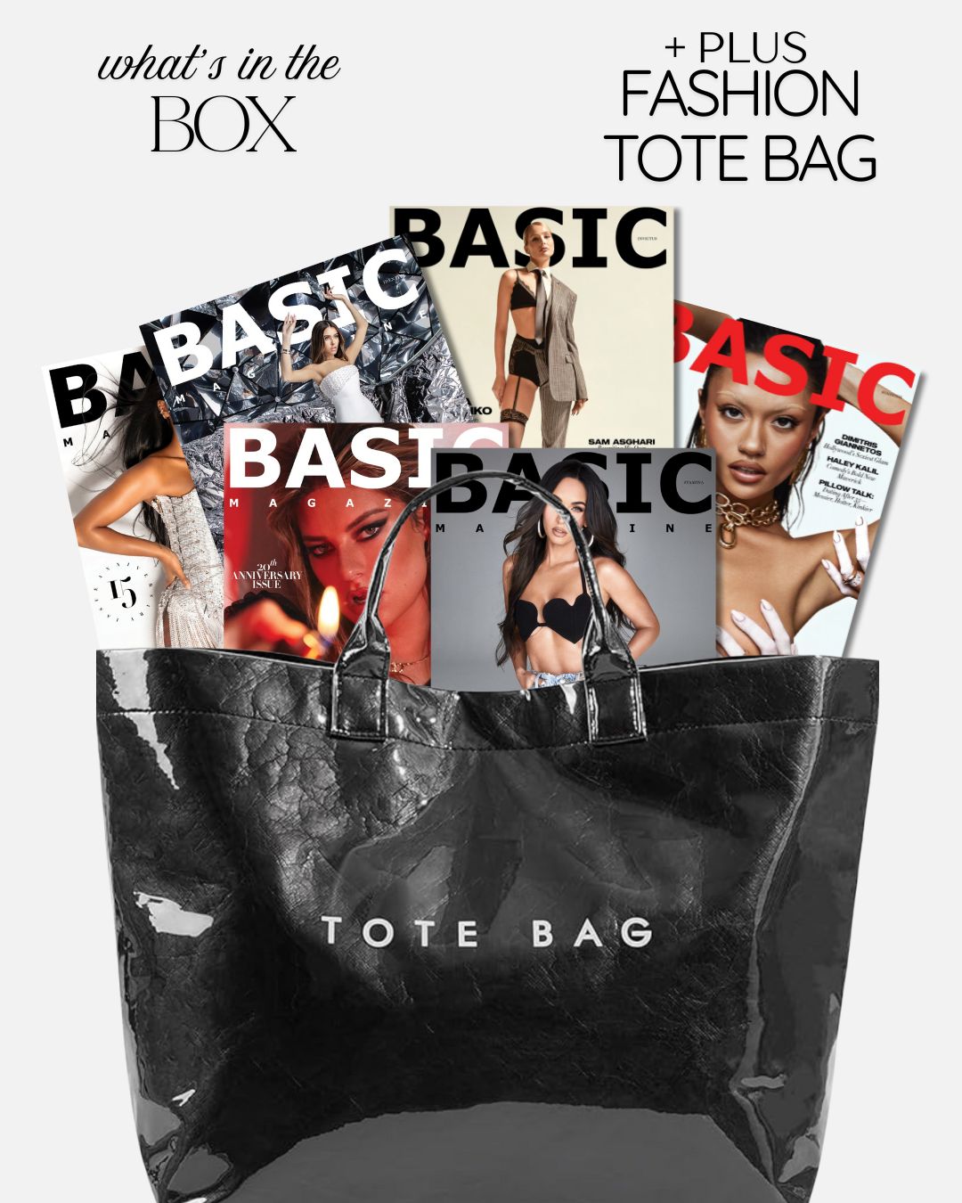 BASIC Seductive Icons — 6 Sexy Vixxen Covers + Fashion Tote Bag