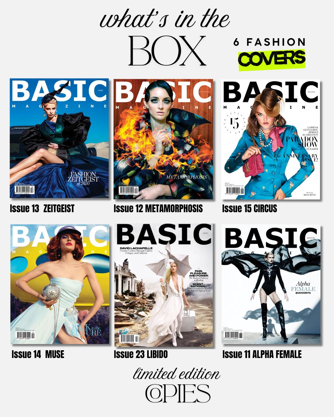 BASIC Fashion Collection — 6 Fashion Covers